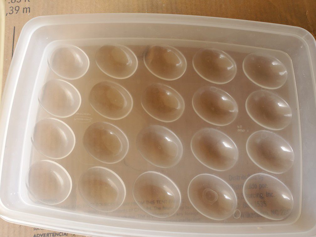 Deviled Egg storage container