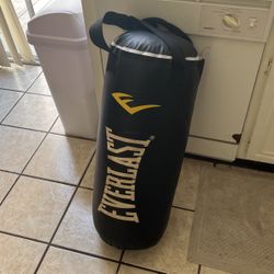 Everlast Punching Bag 