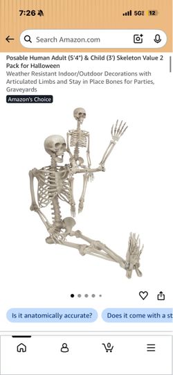 Skeleton and Skeleton Son