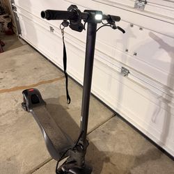 Wide Wheel FreeRider Scooter