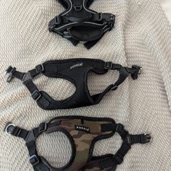 Dog Harnesses 