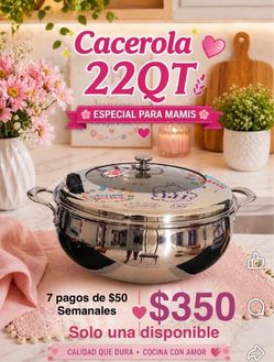 Cacerola de 22qt vida sana de princess house