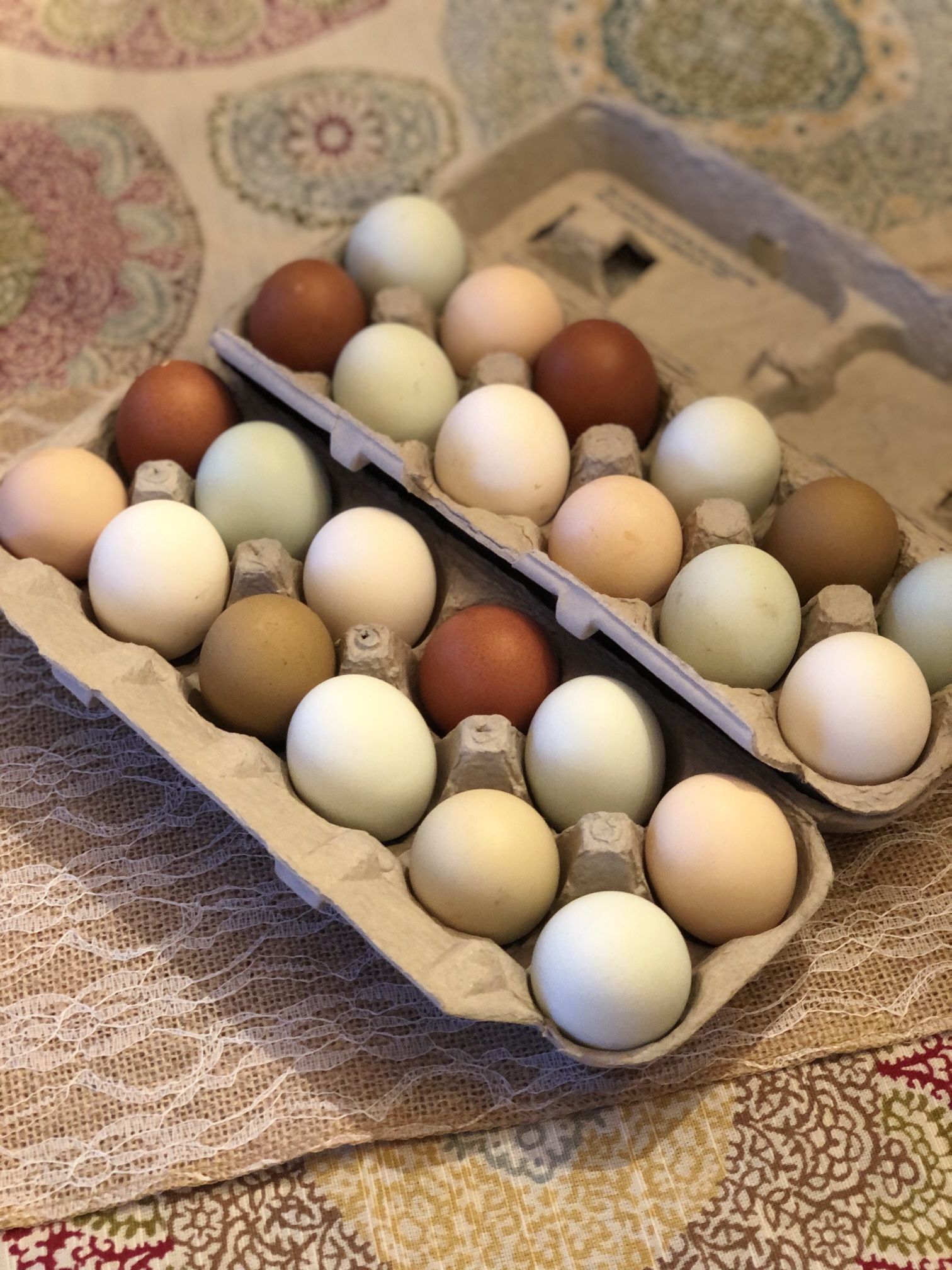 Fertilized Hatch Eggs For Spring Chicks Chickens
