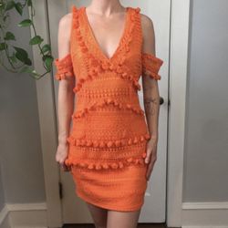 Incredible Tassle Party Dress! 