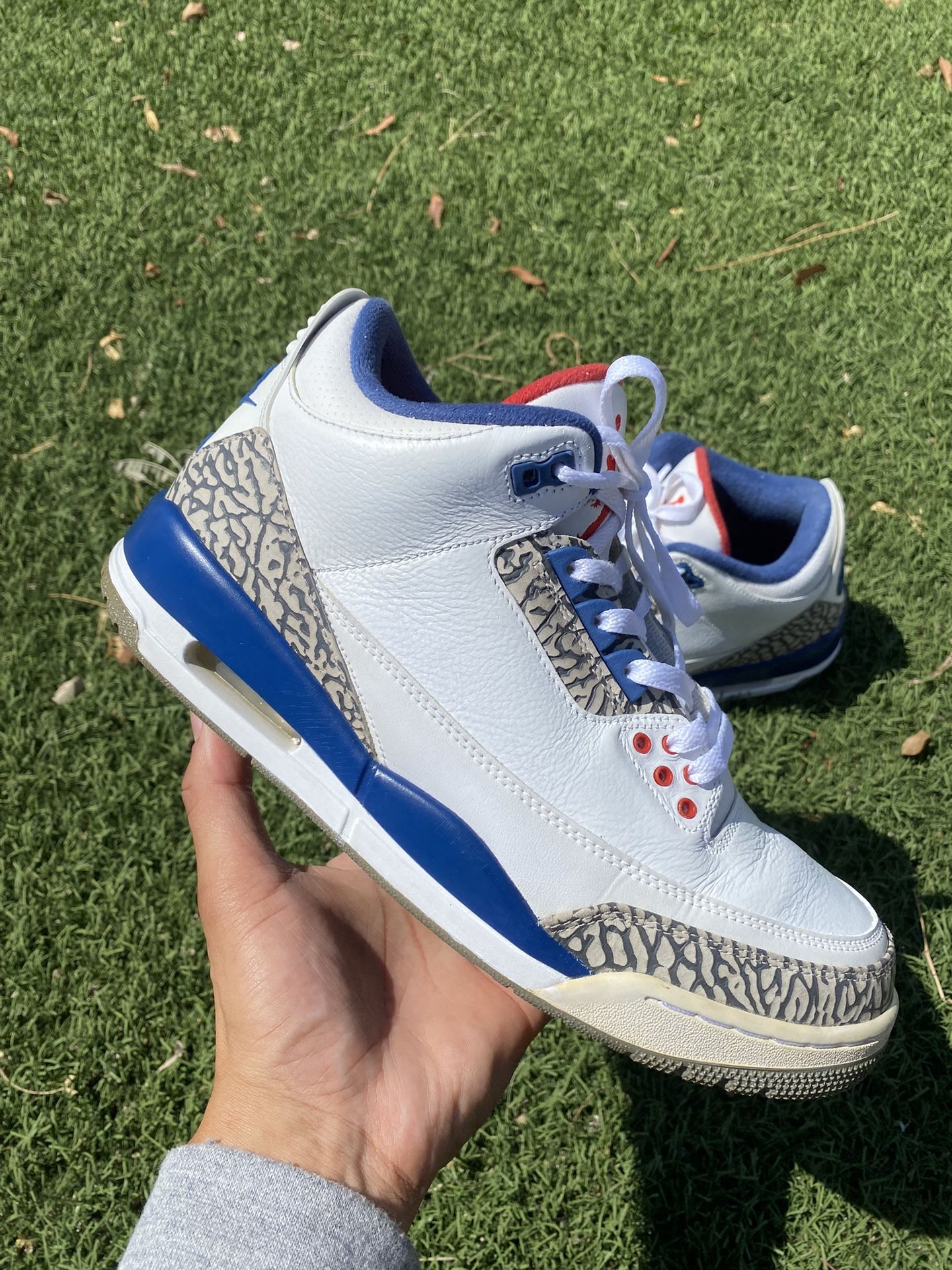 Air Jordan Retro 3s True Blue $120 FIRM