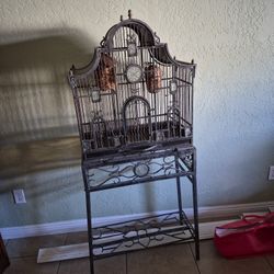 Bird Cage
