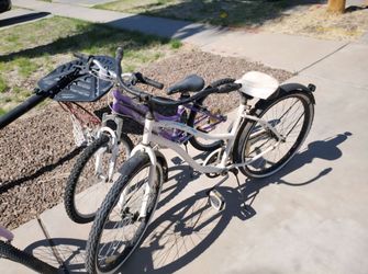 4 bikes for $100