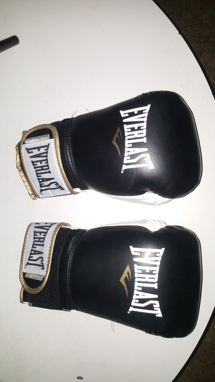 14 oz Boxing Glove