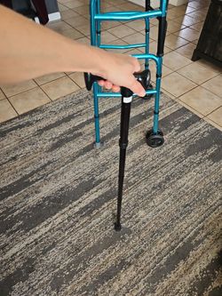 Cane