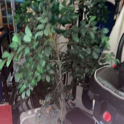 Fake Tree