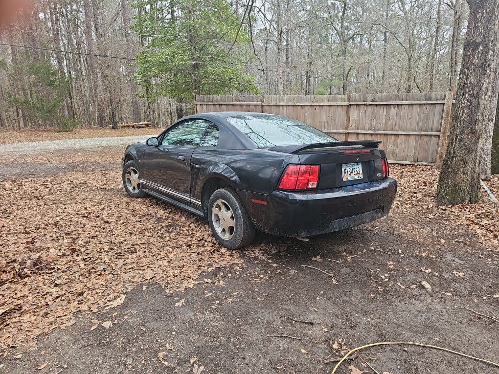 2000 Ford Mustang