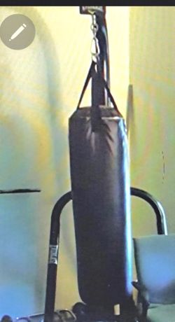 Everlast Punching Bag 