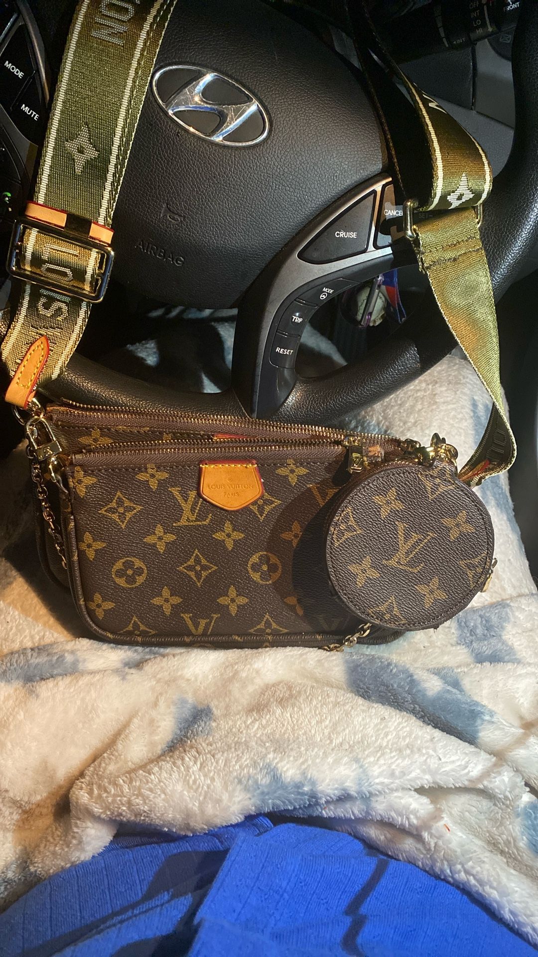 Louie Vuitton Bag