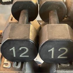 PAIR OF 12 LB  RUBBER DUMBBELLS