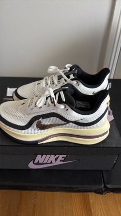 A ma maniere Nike air Pegasus $250