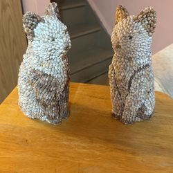 Sea Shell Cat 