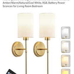 Wall Sconce (2) Wireless/Rechargeable