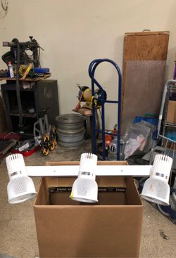 Light bar