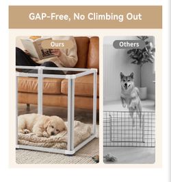 PUPPY STARTER SET FOR SALE *