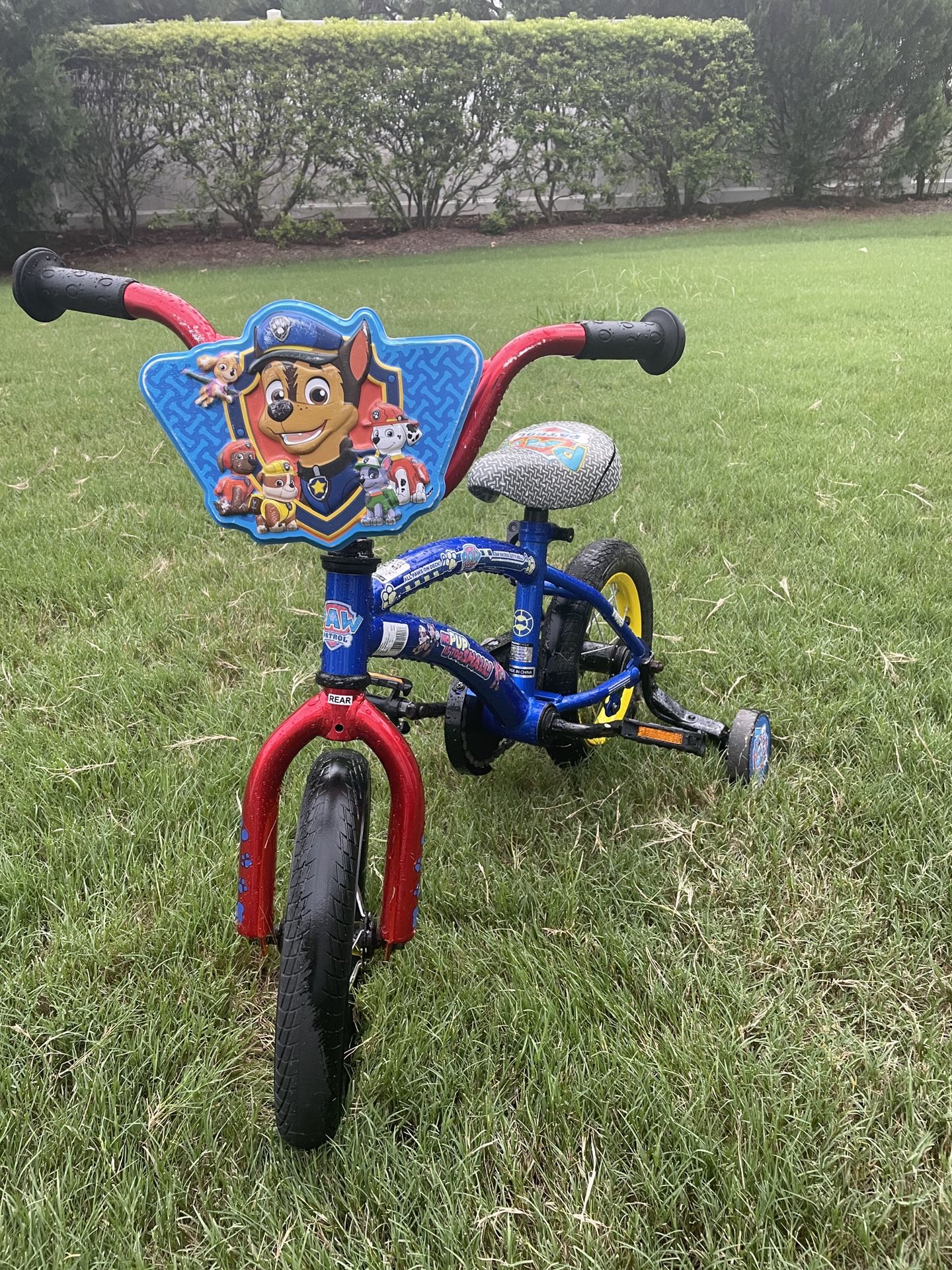 Paw Patrol Bike