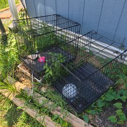 Small Dog Cages 
