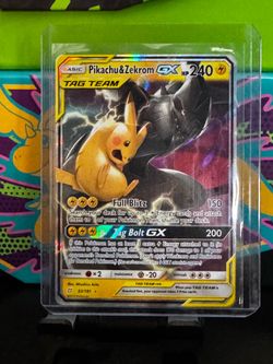 Pikachu and Zekrom
