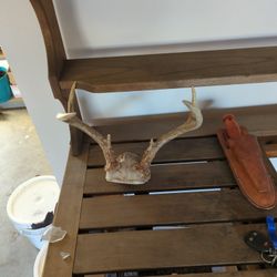 Deer Antlers