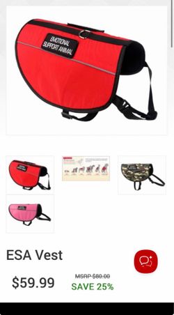Large ESA vest, collar and leash