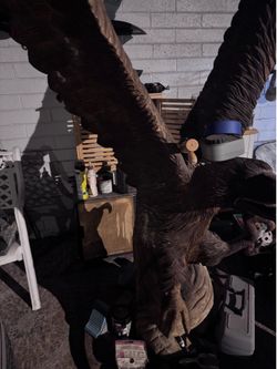 EAGLE