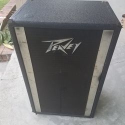 Peavey Speaker