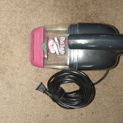 Bissell Pet Hair Eraser