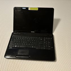 Toshiba Laptop 