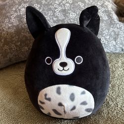 Cat SquishMallow  Brand New - Never Used