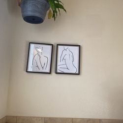 Framed Pictures