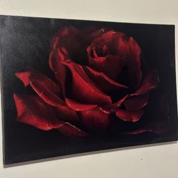 Red Rose Canvas