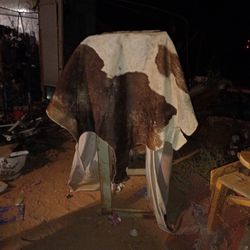 I Have 3 Giant Cow Hides From Argentina.  