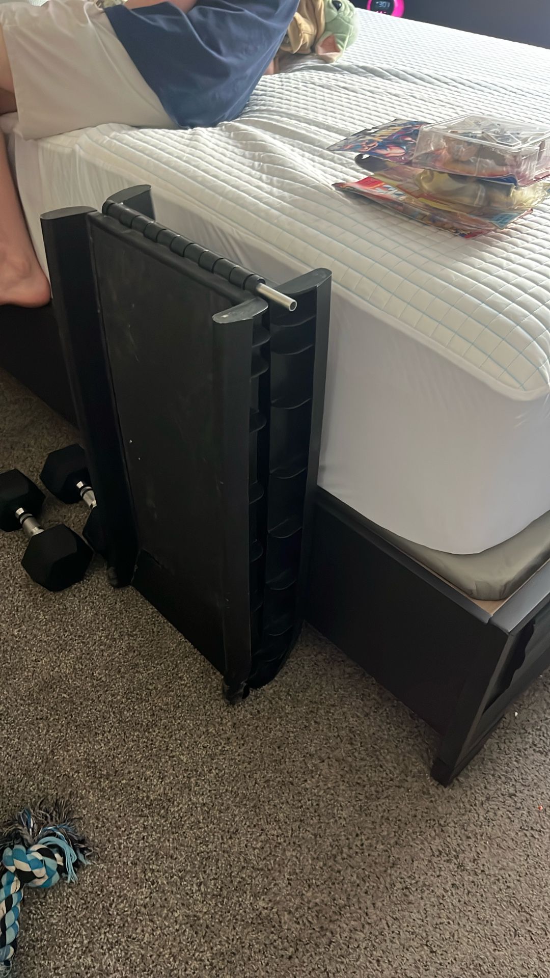 Dog Ramp
