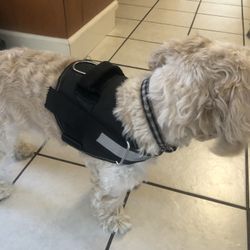 Dog Harness for Medium Size Dog