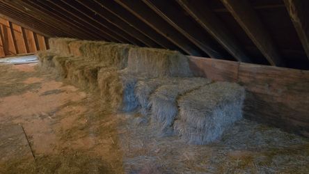 Hay for sale