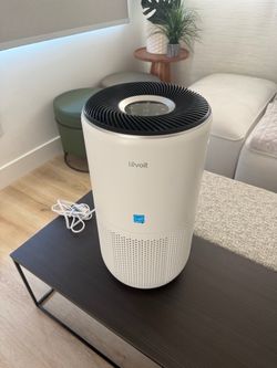 Air cleaner