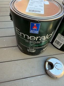Paint. 40$ per gallon