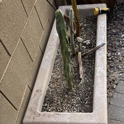 Concrete Rectangle Planter Pot