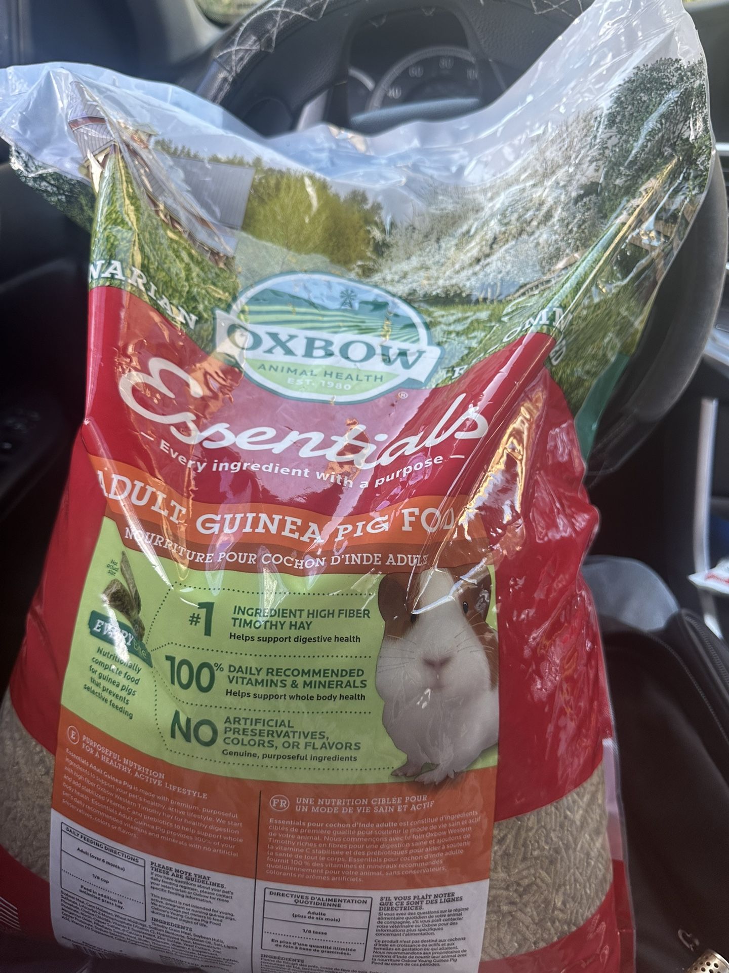 guinea pig food