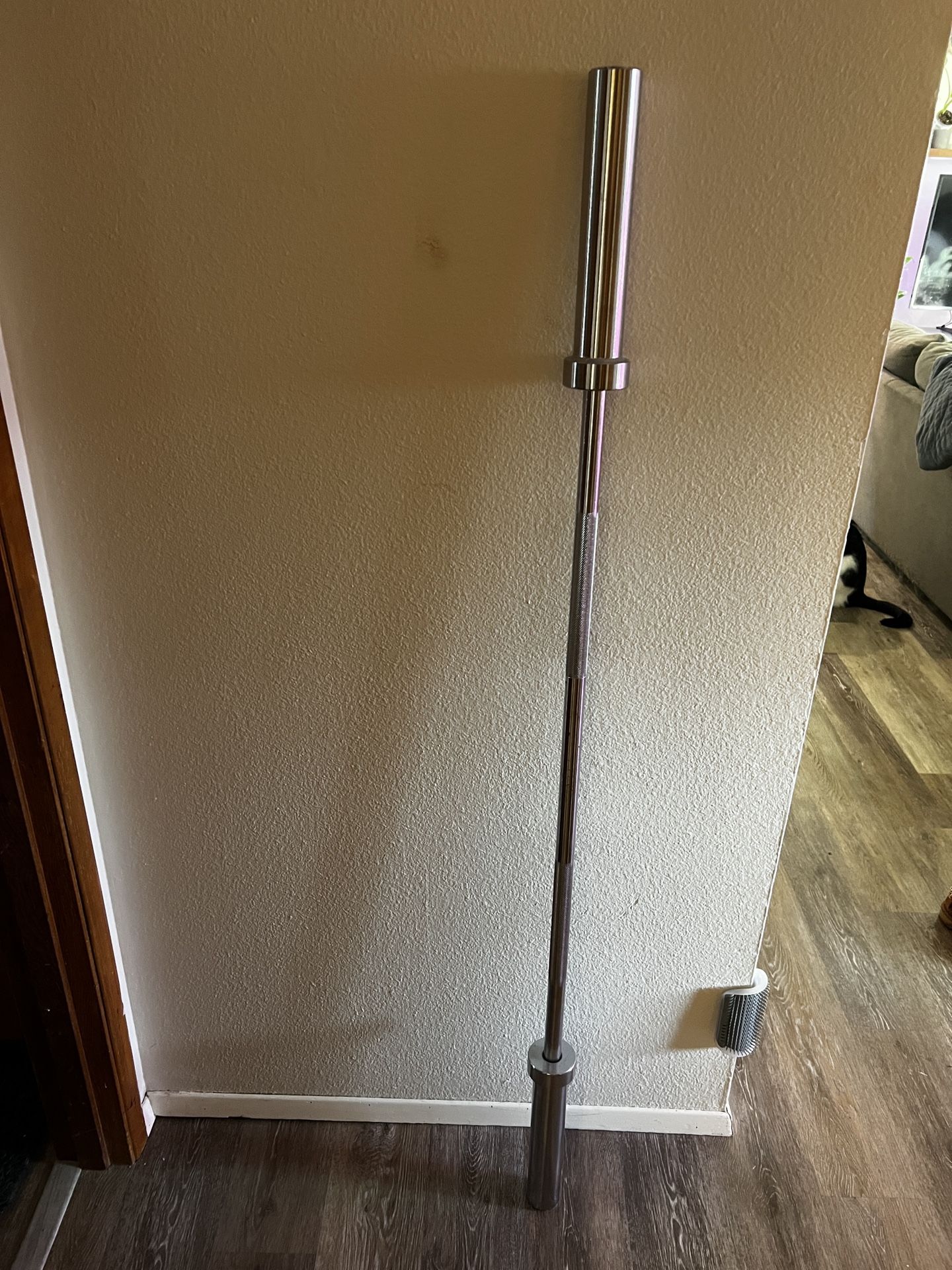 5 Foot Barbell