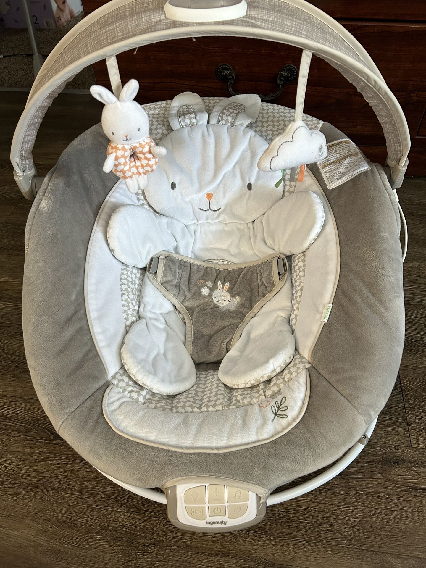 Ingenuity Baby Bouncer