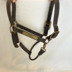 Horse Tack Walsh