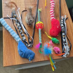 9- 🐈 Cat Toys Never Used/and Feeder 
