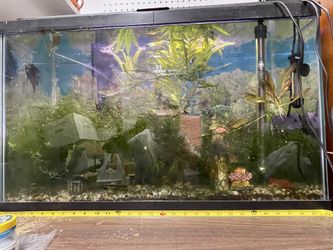 Fish Tank With Aquatic Plant 29 Gallons