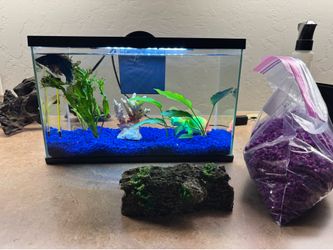 Fish Tank Bundle