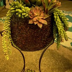 Beautiful Stand with Artificial Succulents